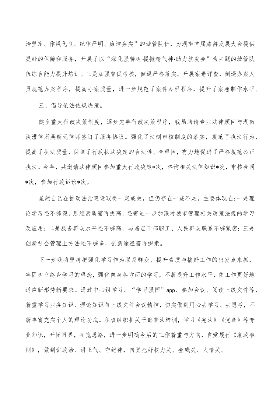 城管法治建设职责述职报告.docx_第2页