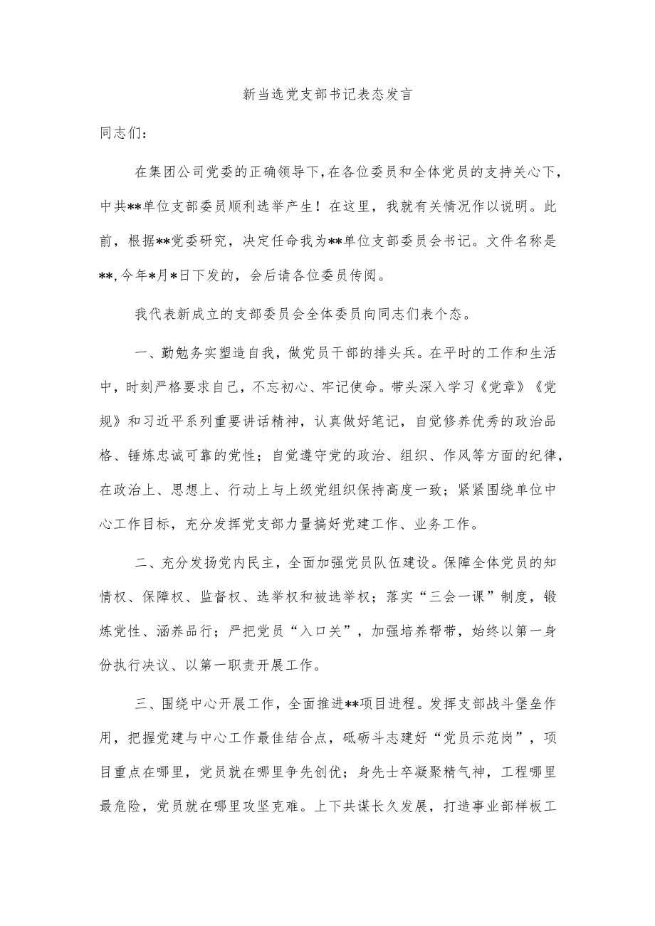 新当选党支部书记表态发言.docx_第1页