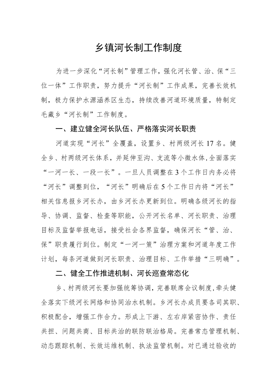 乡镇河长制工作制度.docx_第1页