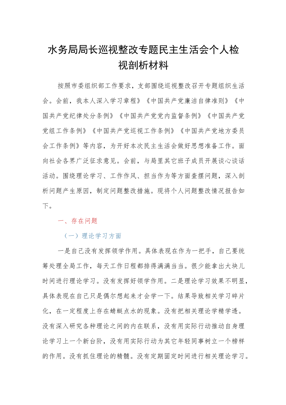 水务局局长巡视整改专题民主生活会个人检视剖析材料.docx_第1页