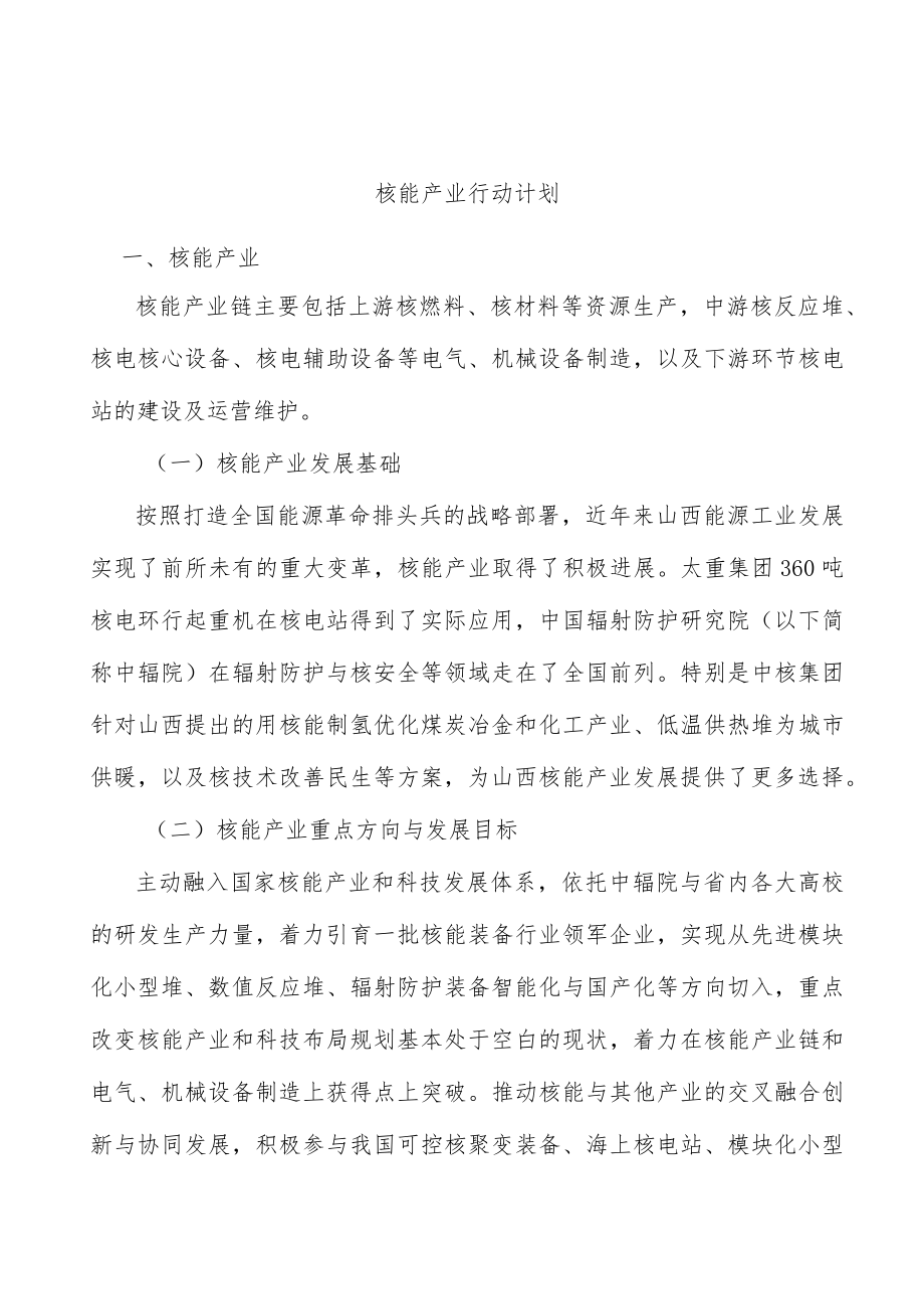 核能产业行动计划.docx_第1页