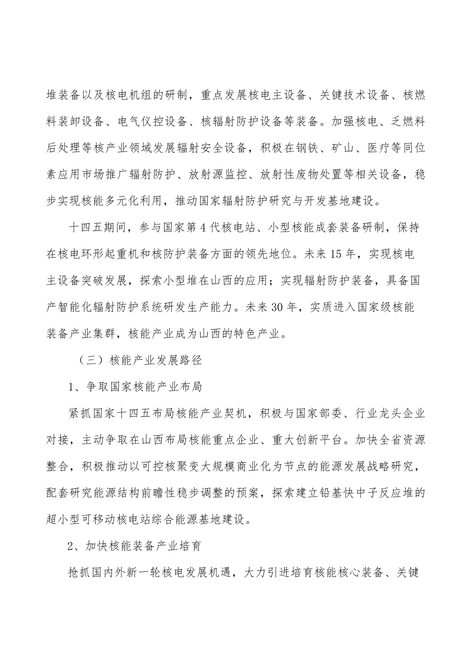 核能产业行动计划.docx_第2页