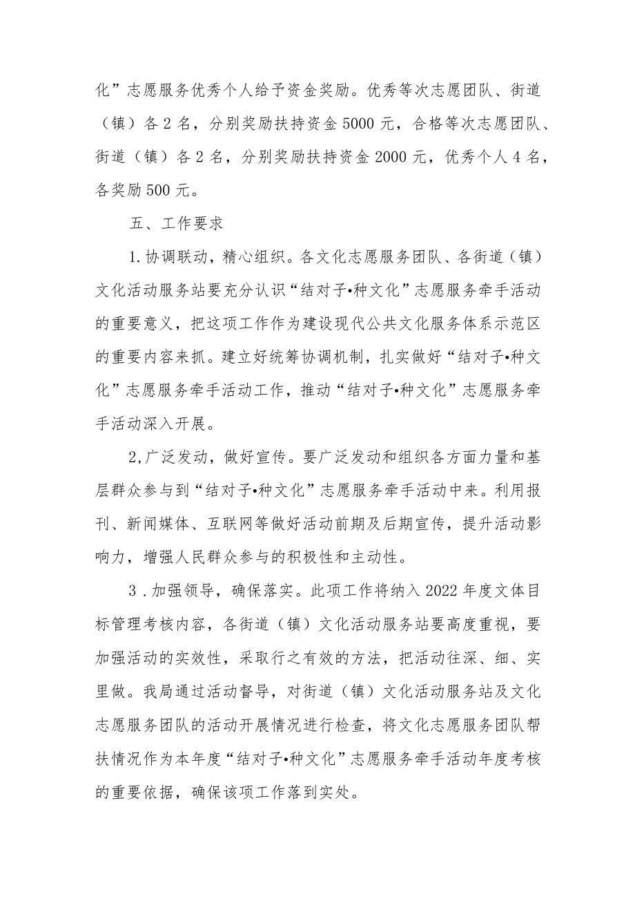 XX区2022年“结对子·种文化”志愿服务牵手活动方案.docx_第3页