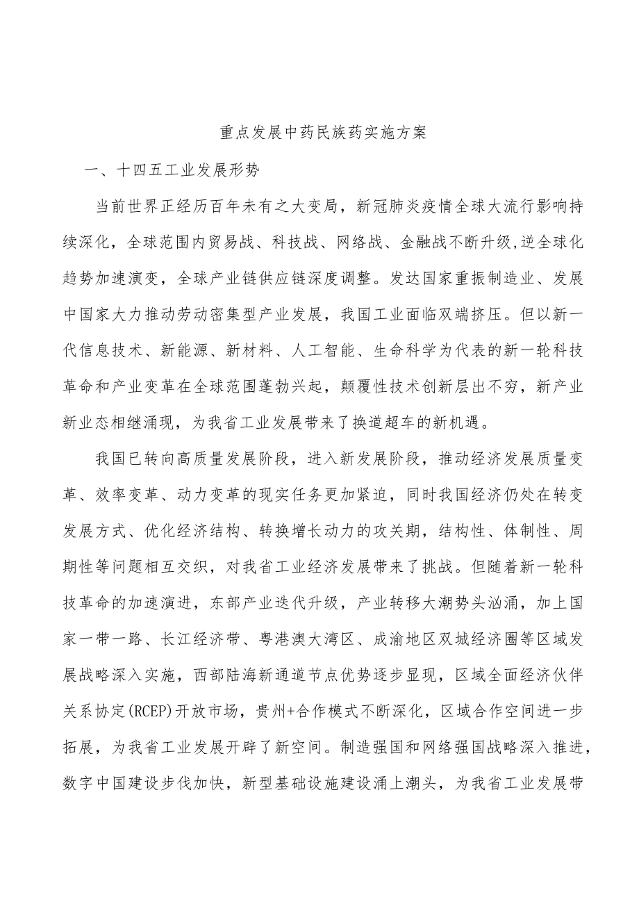 重点发展中药民族药实施方案.docx_第1页