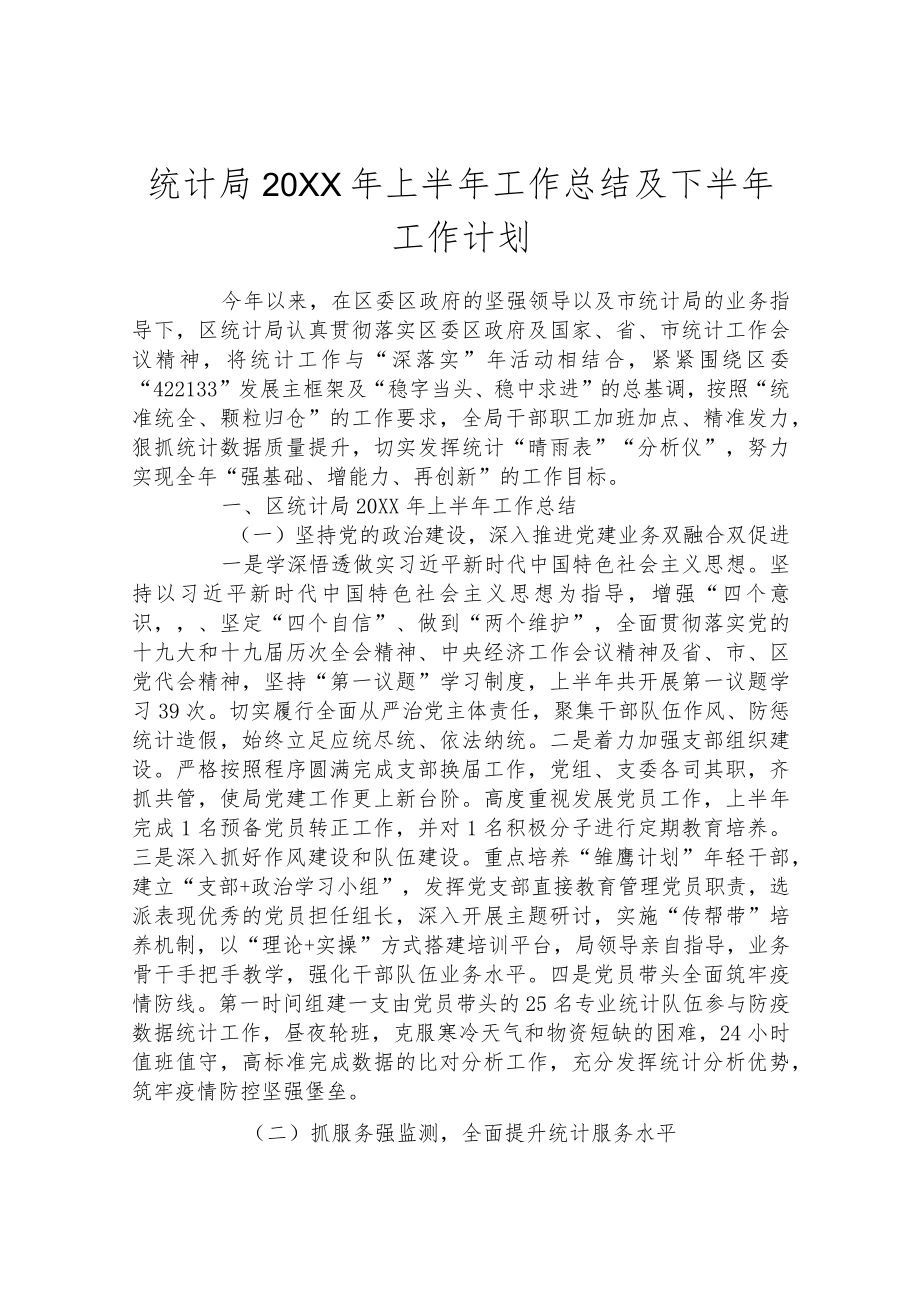 统计局2022年上半年工作总结及下半年工作计划.docx_第1页