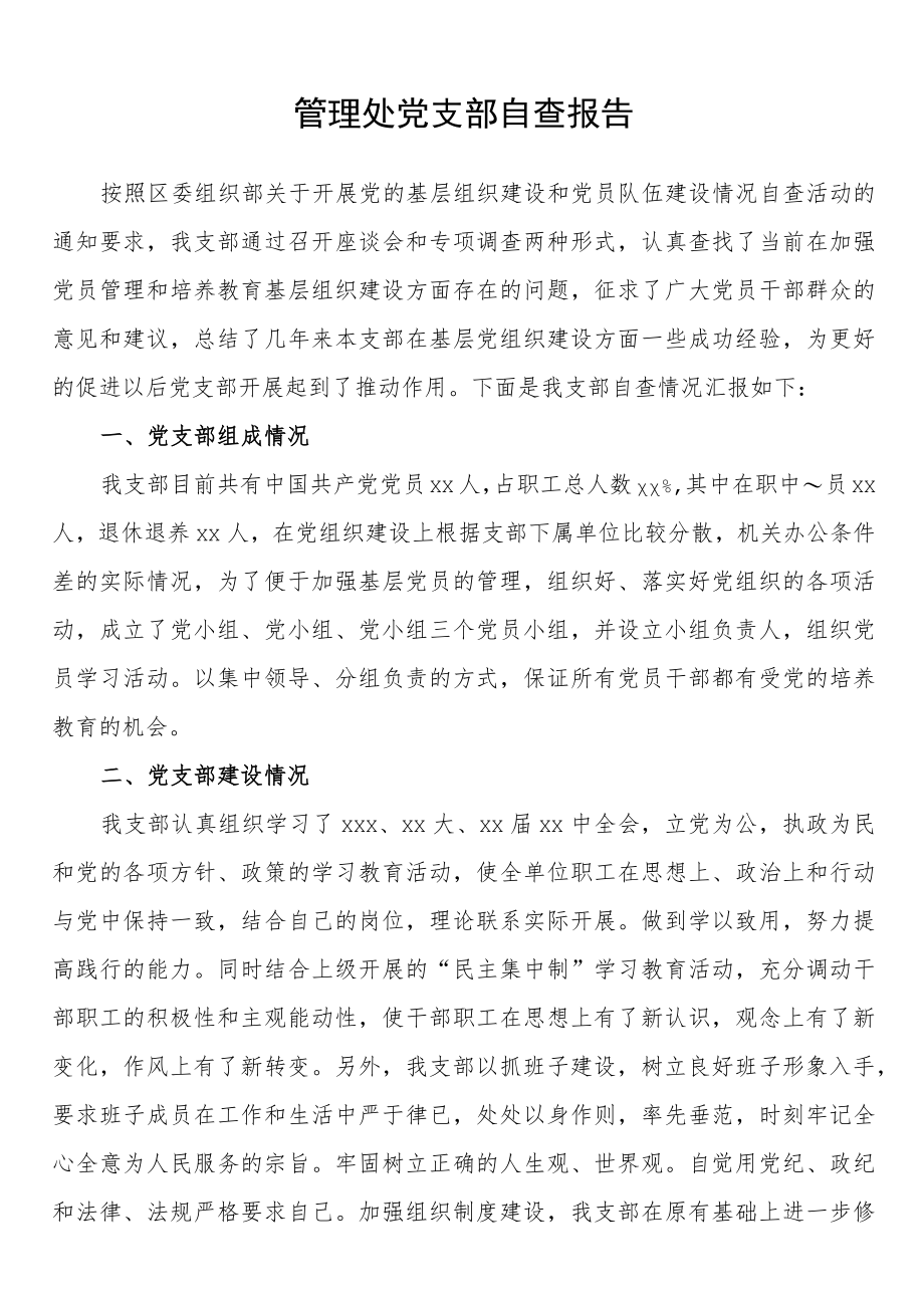 管理处党支部自查报告.docx_第1页