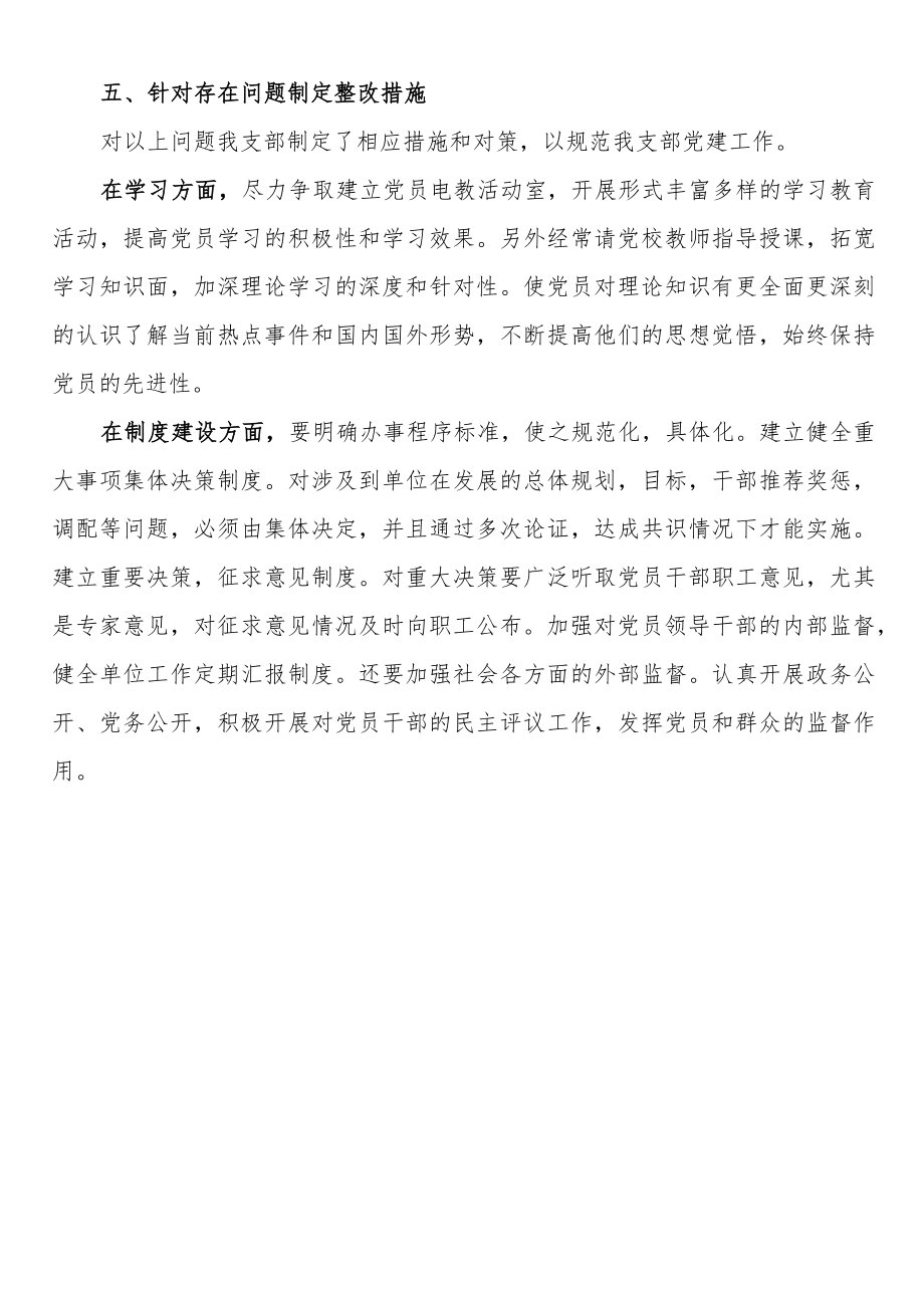 管理处党支部自查报告.docx_第3页