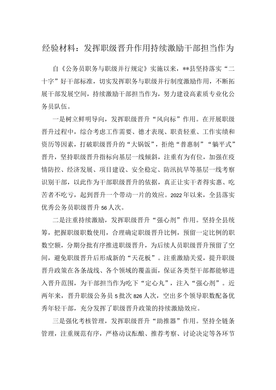 经验材料：发挥职级晋升作用持续激励干部担当作为.docx_第1页