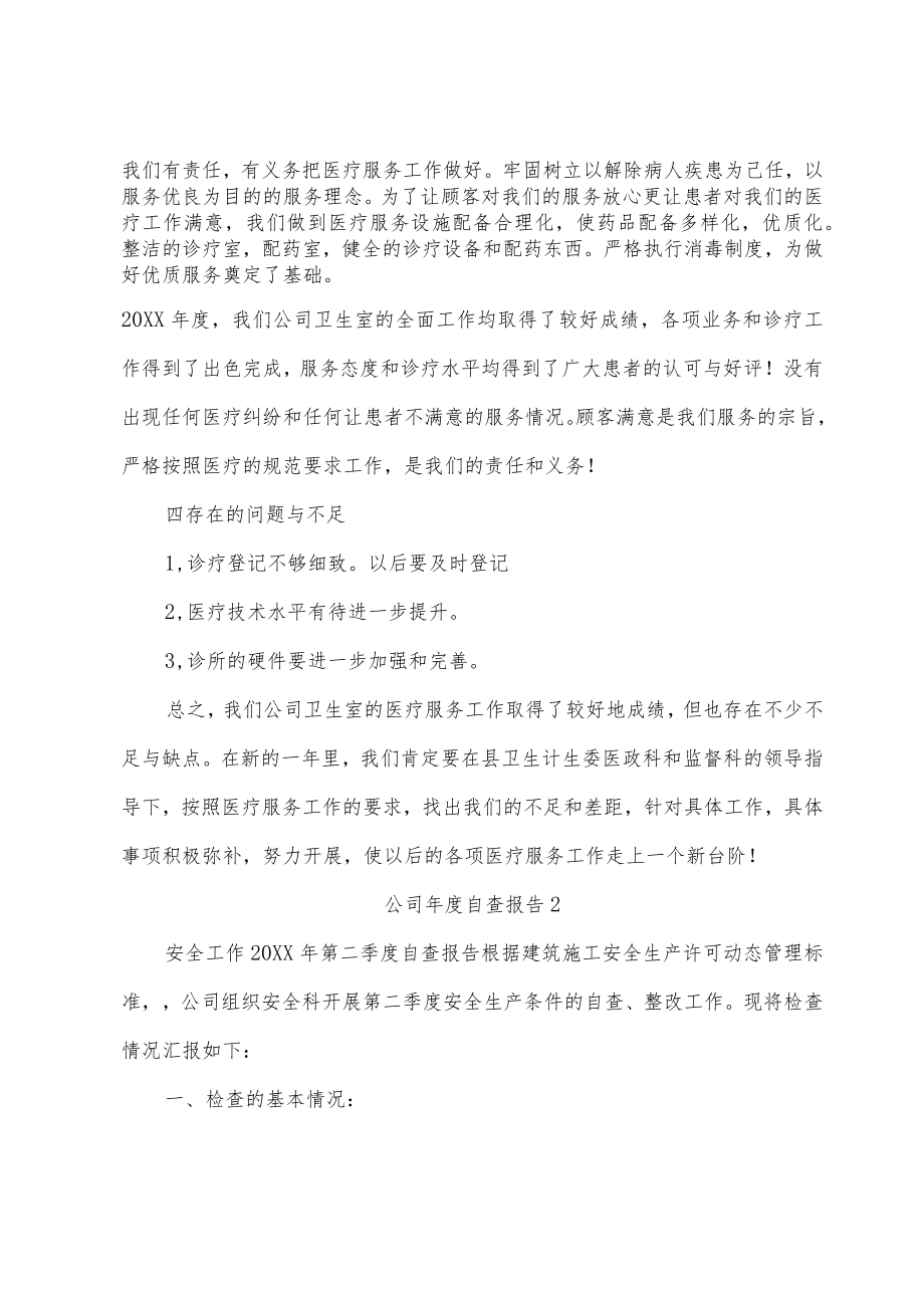 公司年度自查报告.docx_第2页