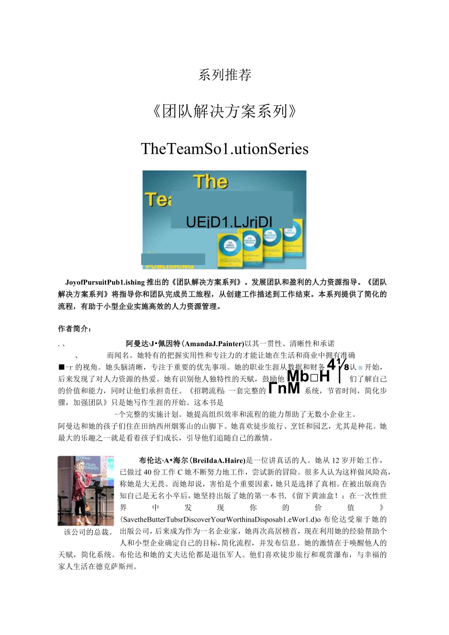 系列推荐《团队解决方案系列》TheTeamSolutionSeries.docx_第1页