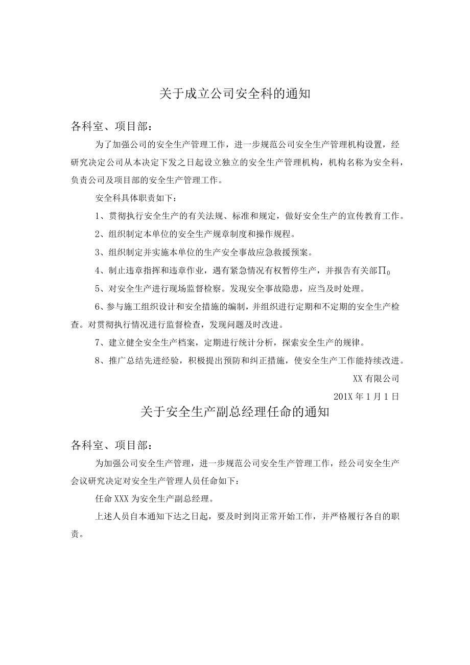 公司安全管理人员任命书样例.docx_第1页