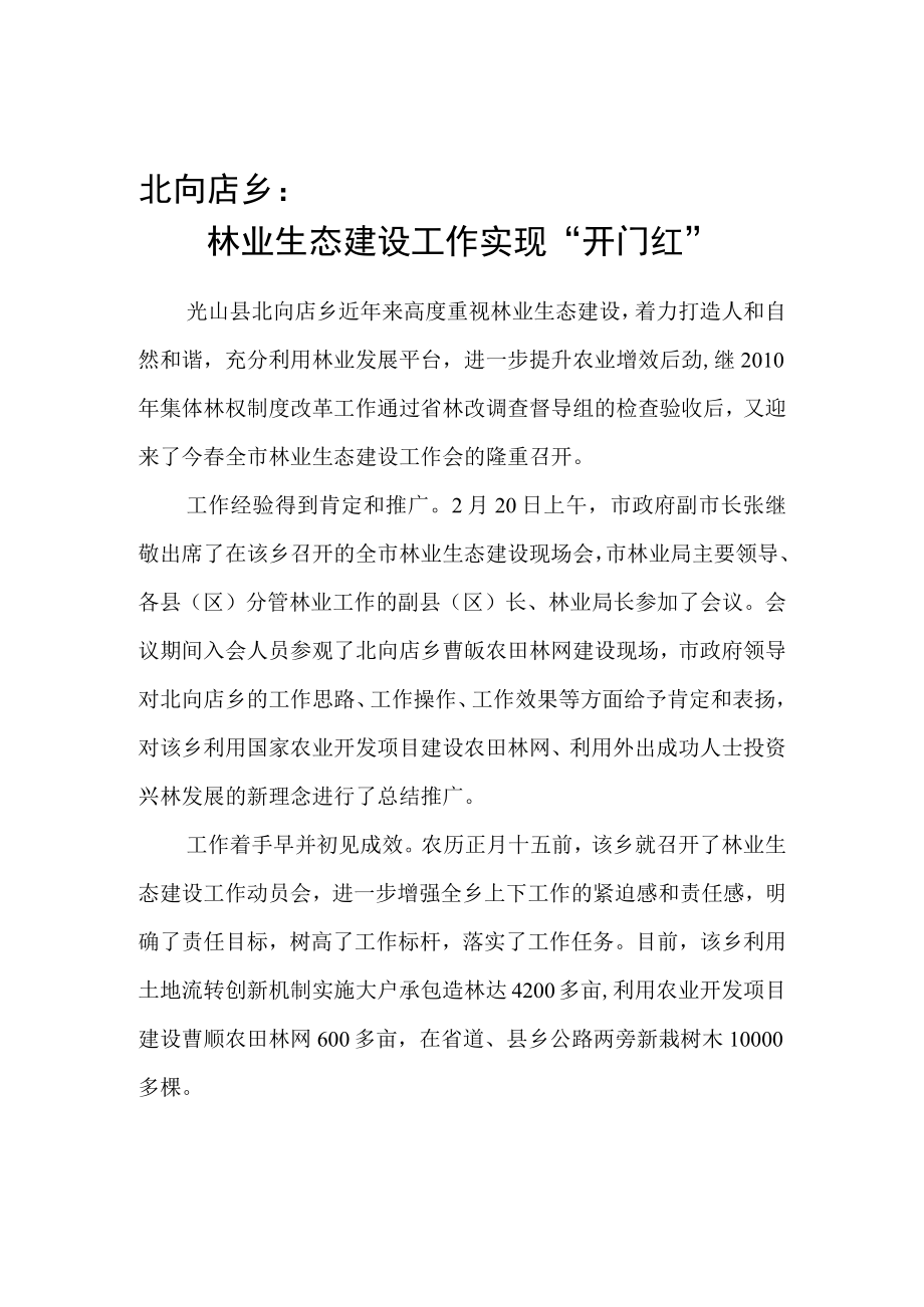 北向店乡林业生态建设工作实现“开门红”.docx_第1页