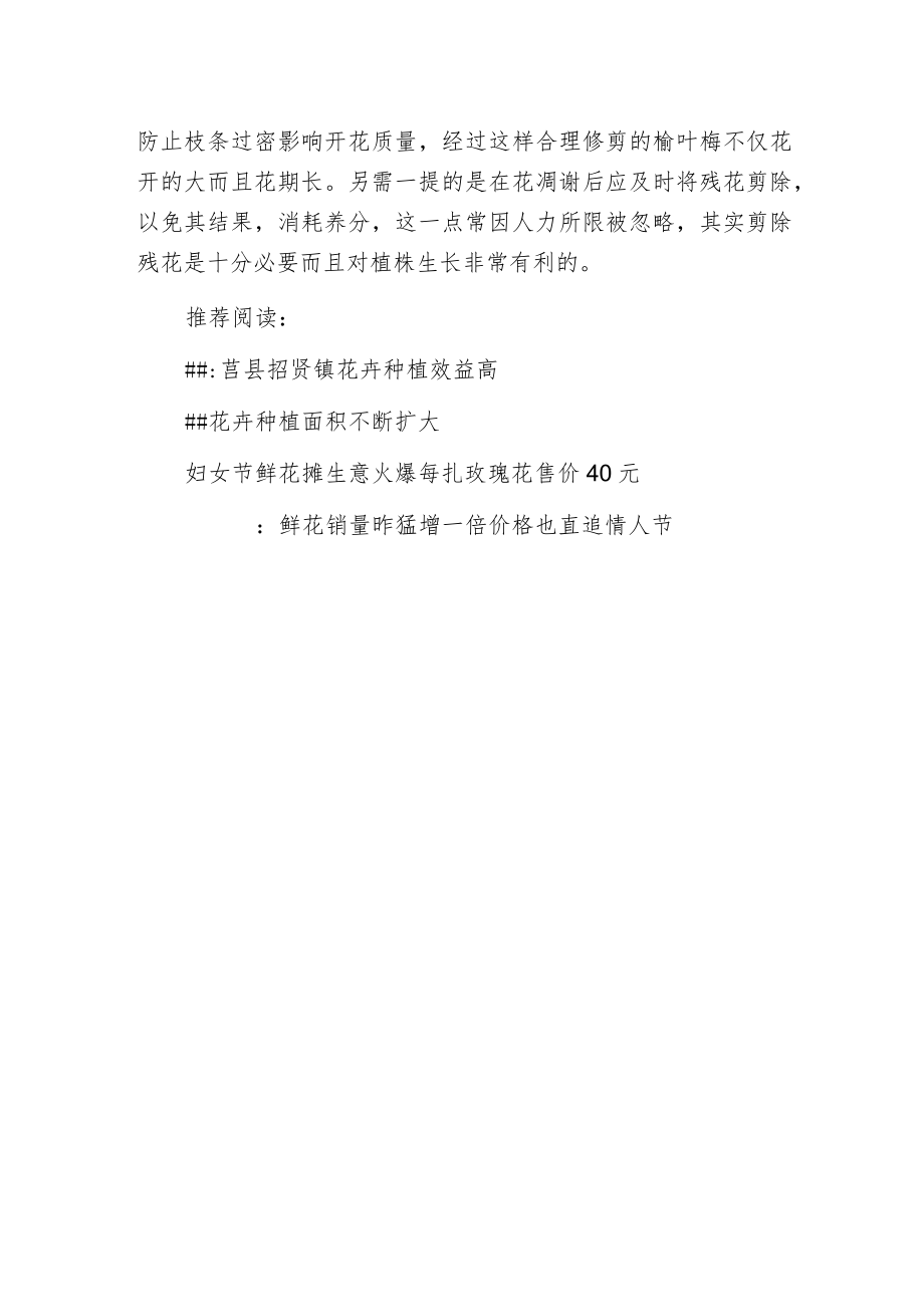 榆叶梅春季管护要点.docx_第2页