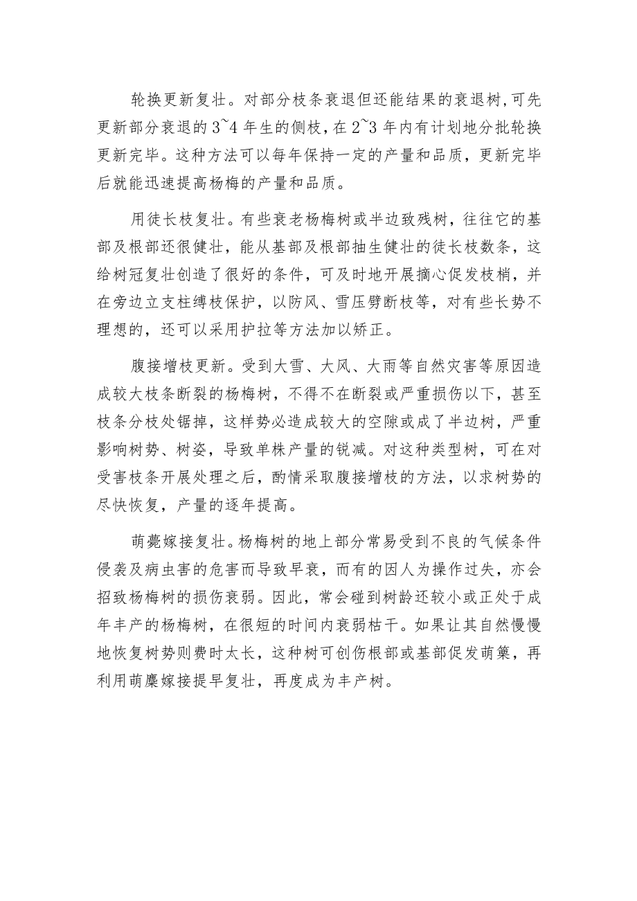 杨梅采后更新复壮技术.docx_第2页