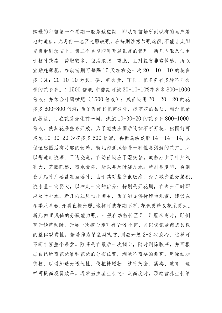 新几内亚凤仙的栽培与管理.docx_第2页