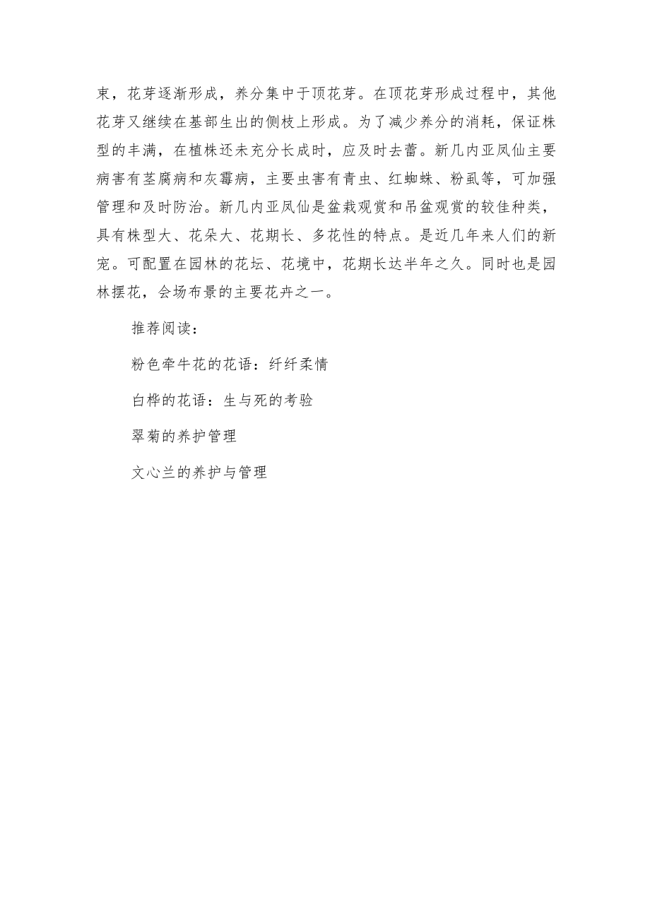 新几内亚凤仙的栽培与管理.docx_第3页