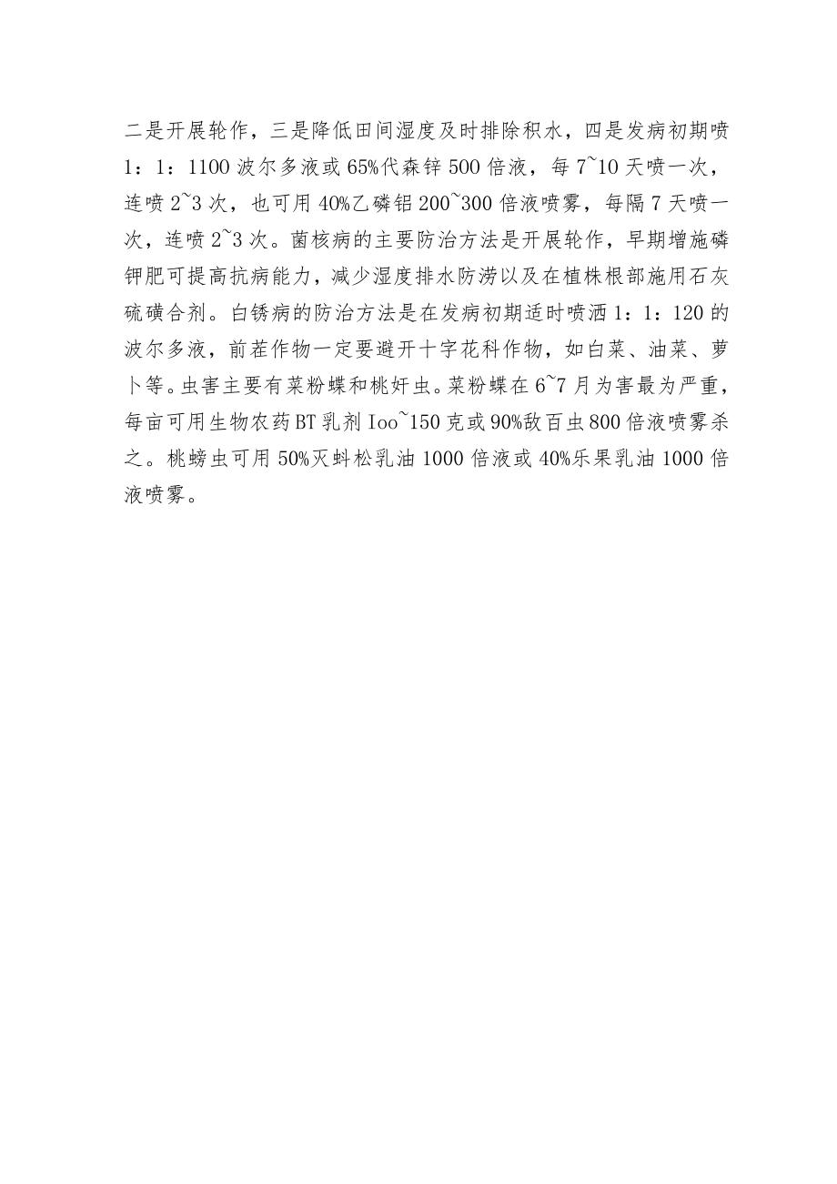 板蓝根的栽培与管理.docx_第2页