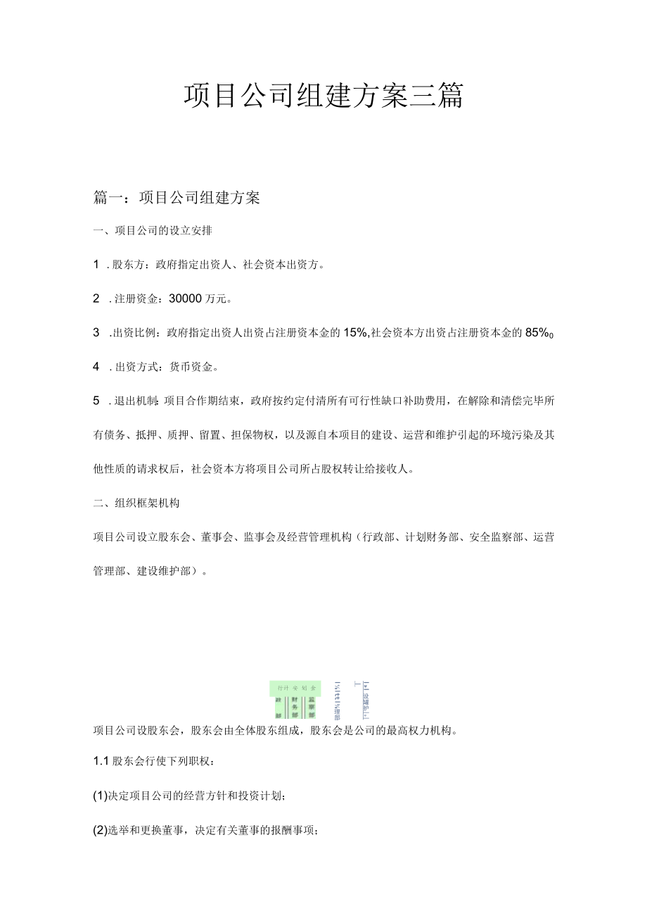 项目公司组建方案三篇.docx_第1页