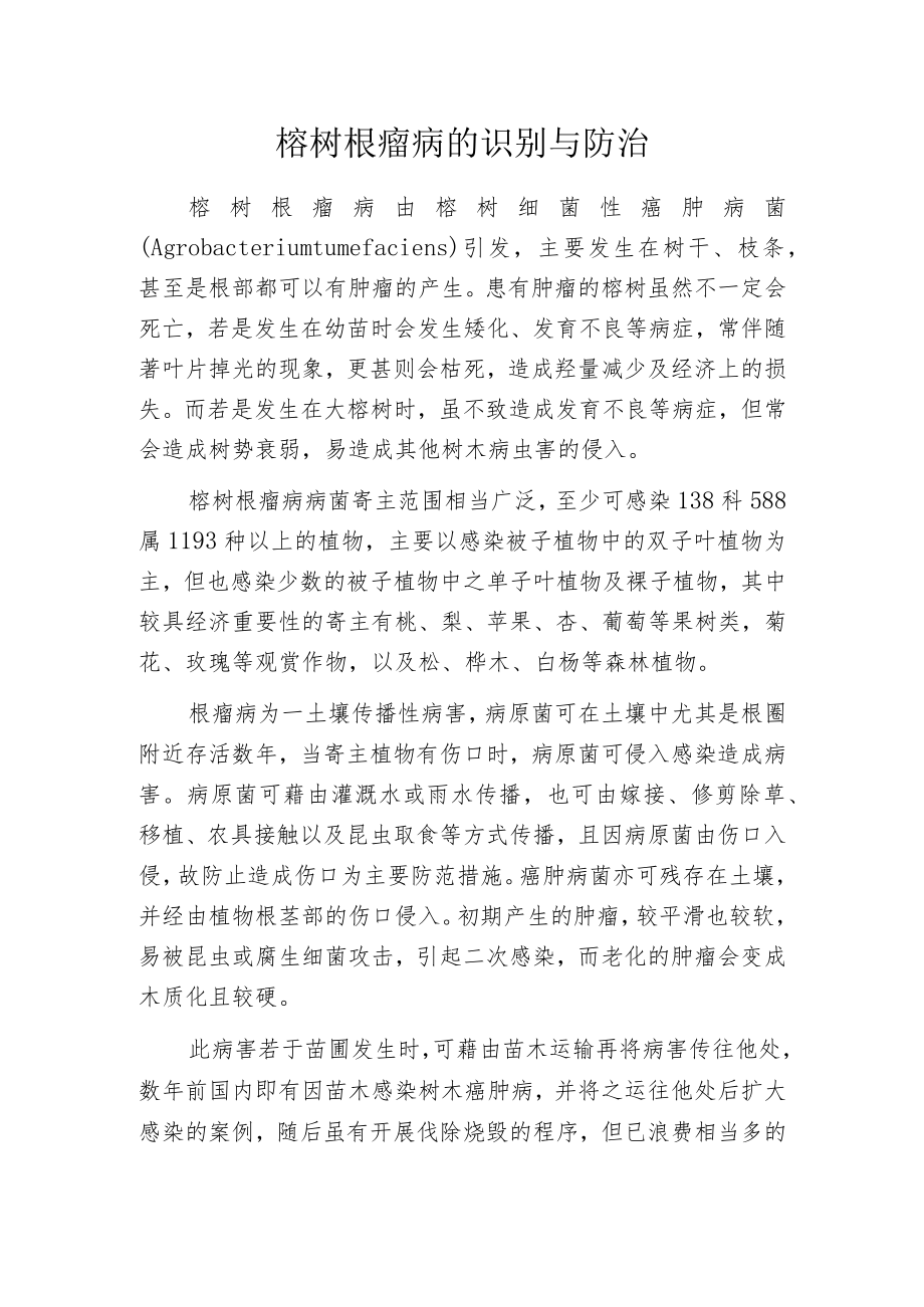 榕树根瘤病的识别与防治.docx_第1页