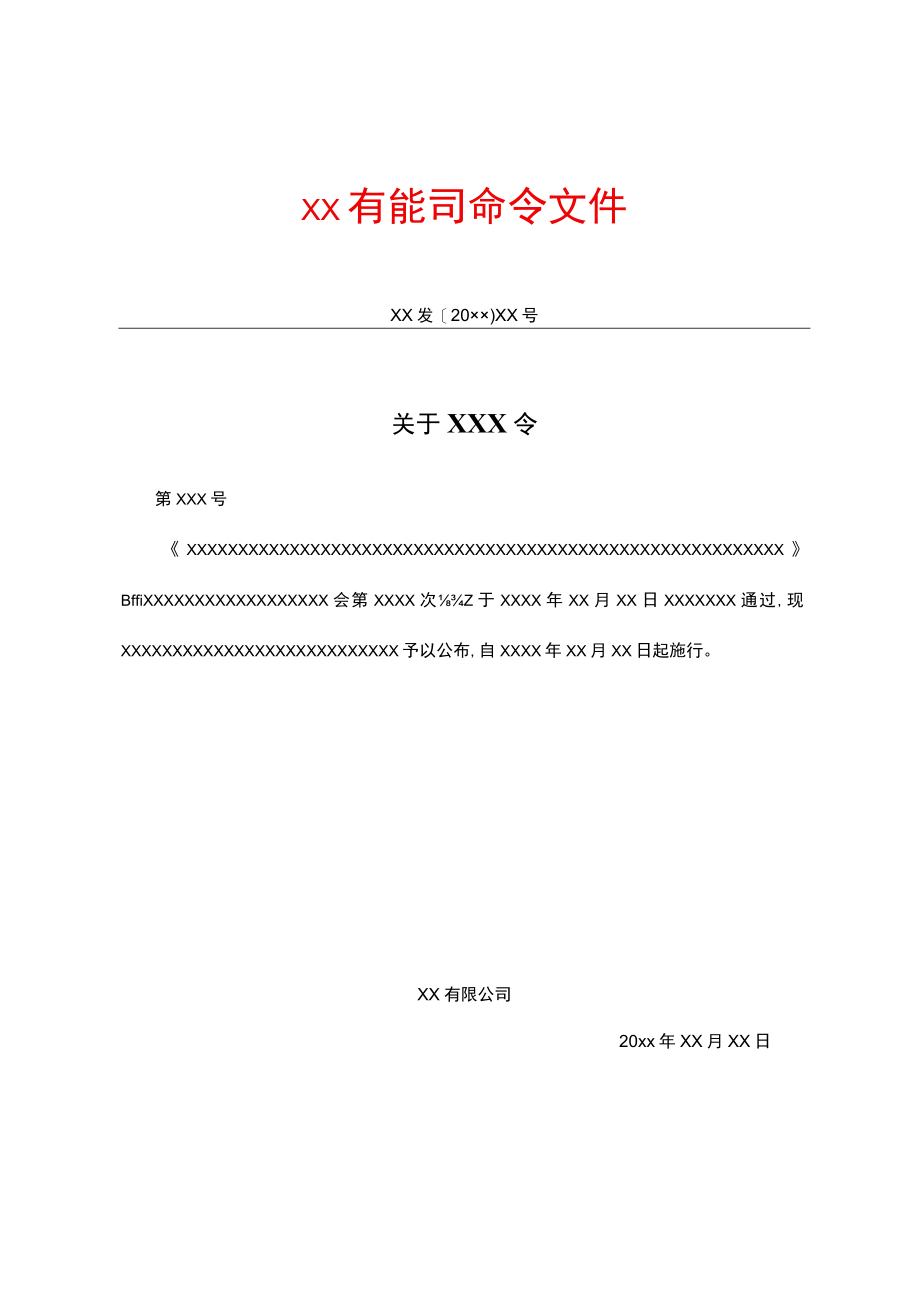 有限公司命令文件.docx_第1页