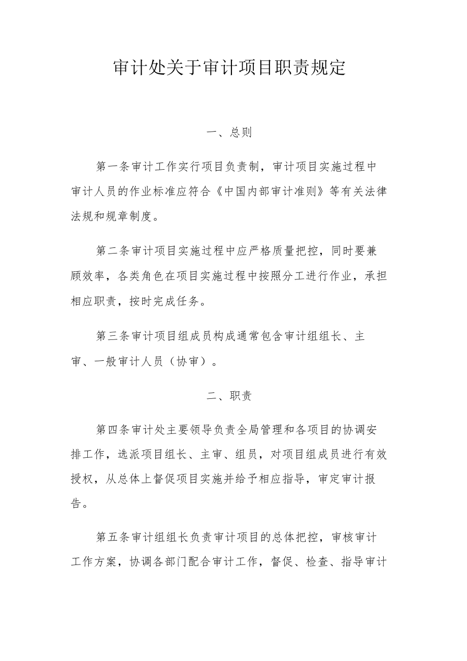 审计处关于审计项目职责规定.docx_第1页