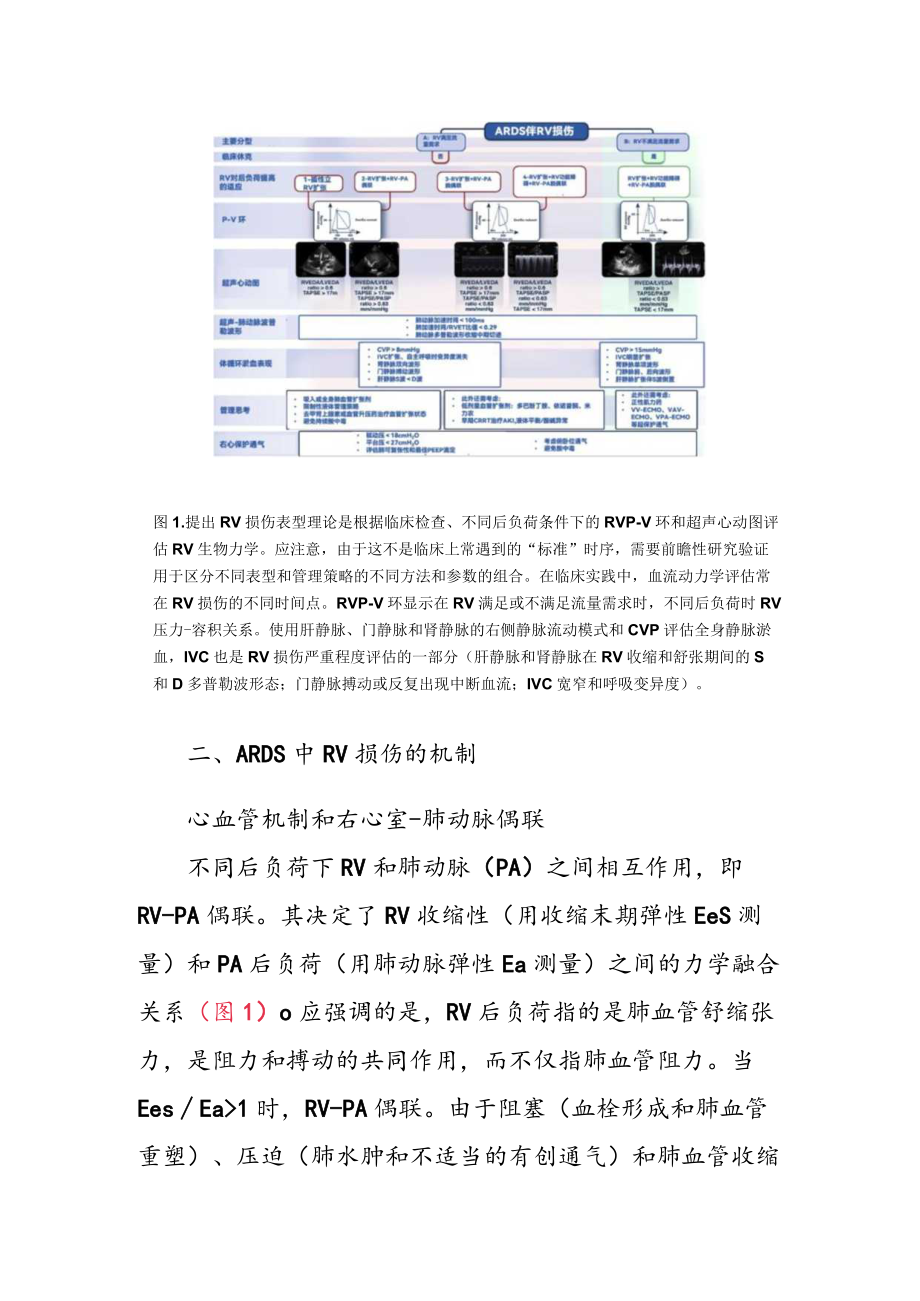 急性呼吸窘迫综合征患者的急性右心室损伤表型分析.docx_第3页