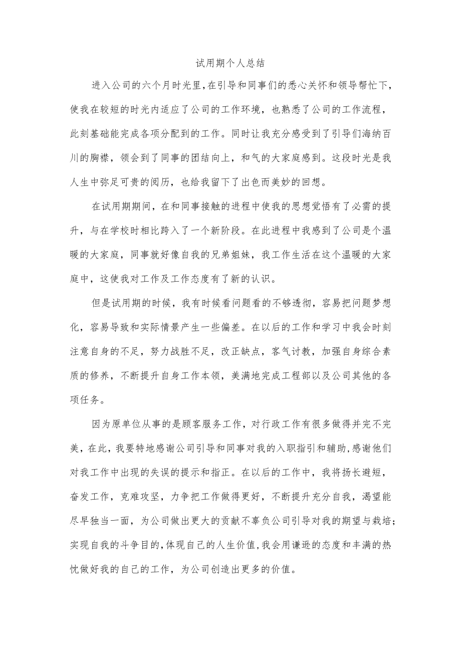 试用期个人总结.docx_第1页