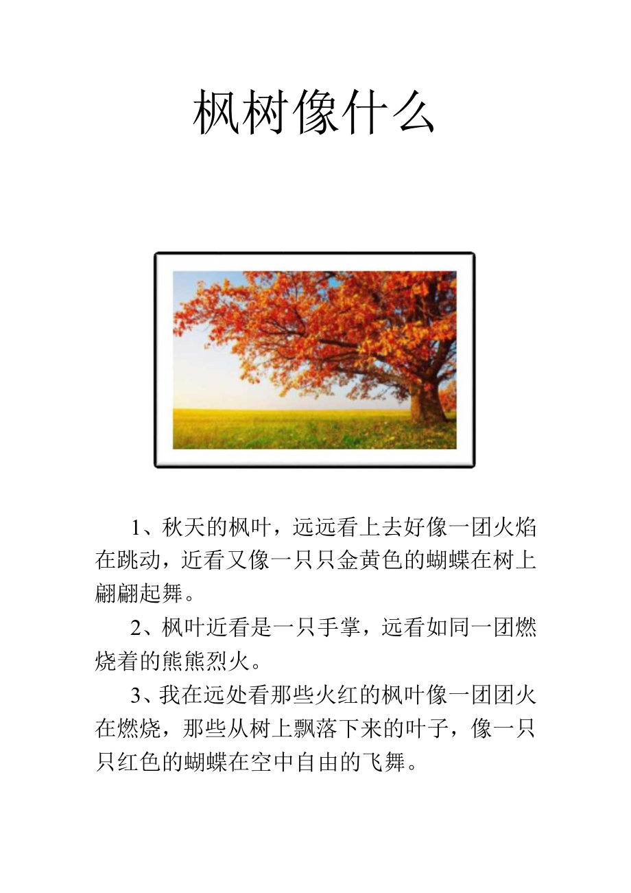 枫树像什么.docx_第1页