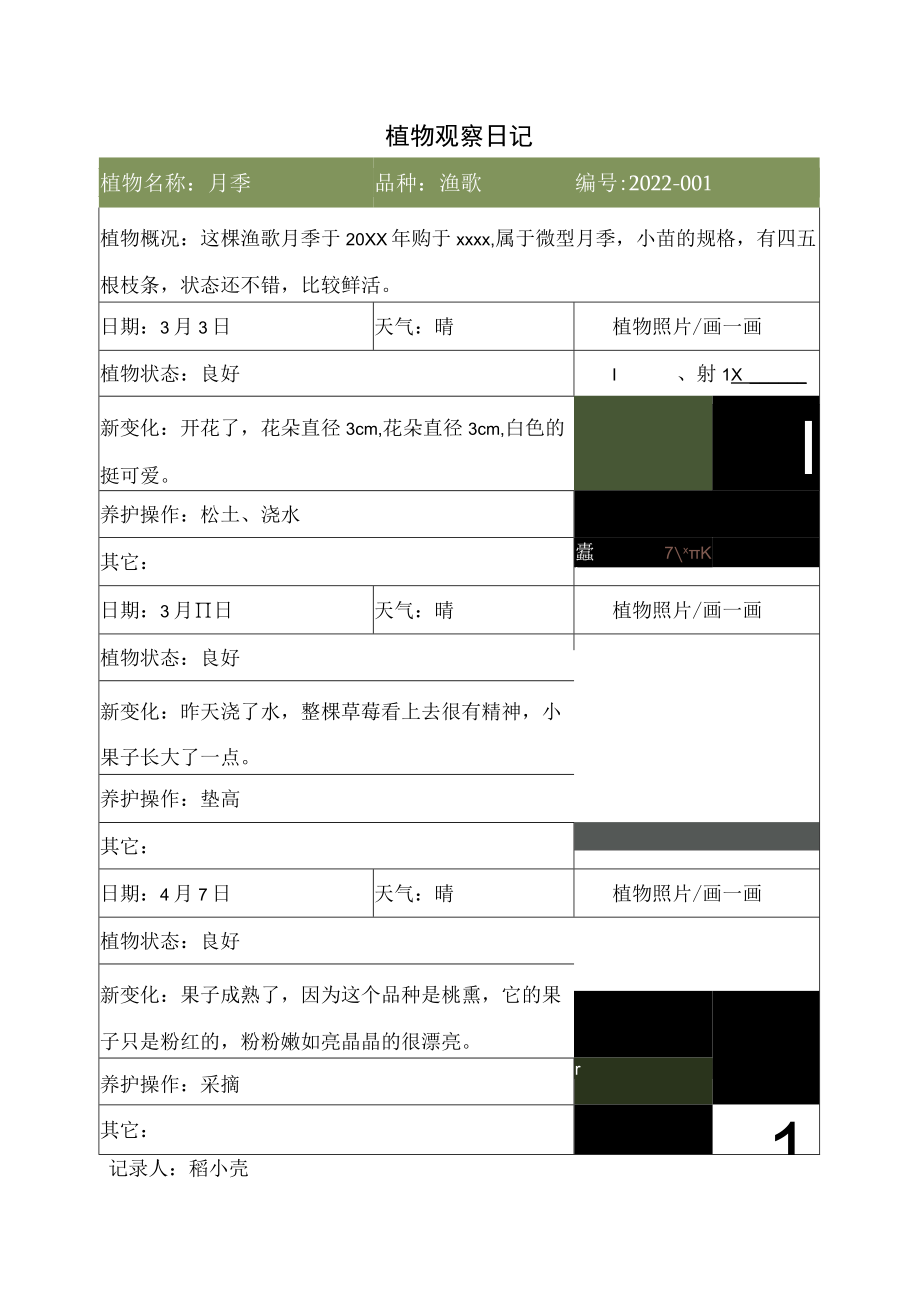 植物观察日记生长记录表.docx_第1页