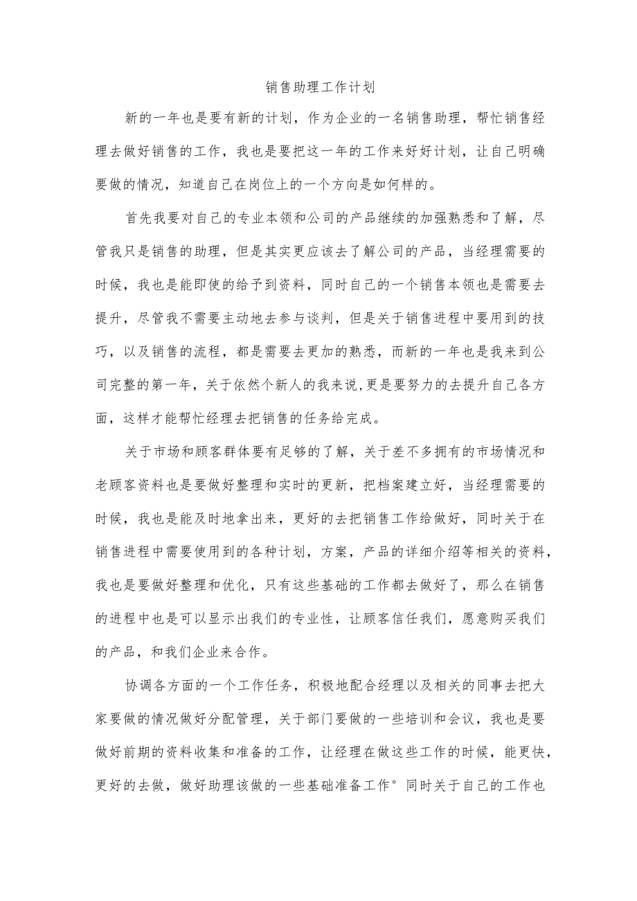 销售助理工作计划.docx_第1页