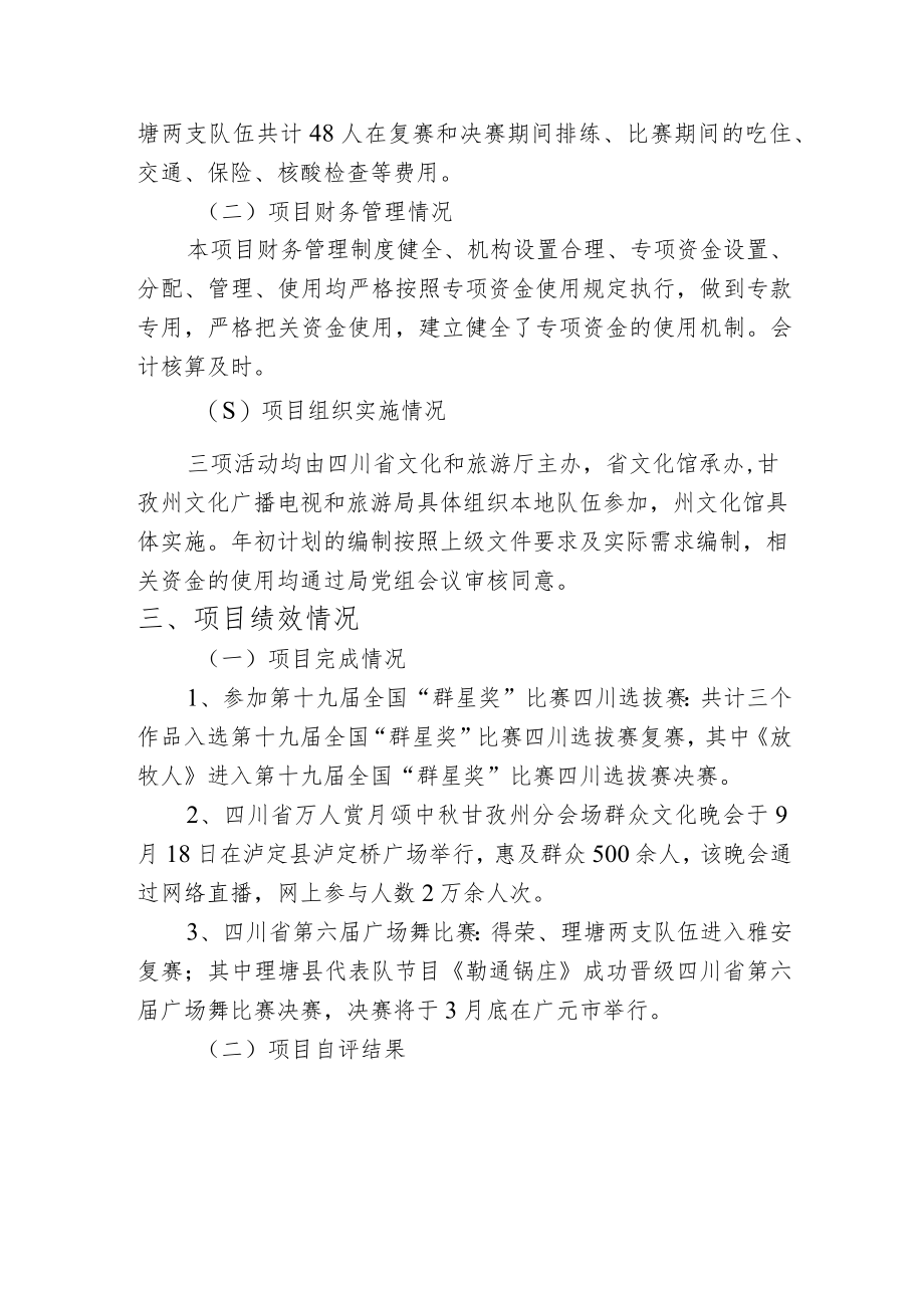 重大文化活动赛事资金绩效自评报告.docx_第2页