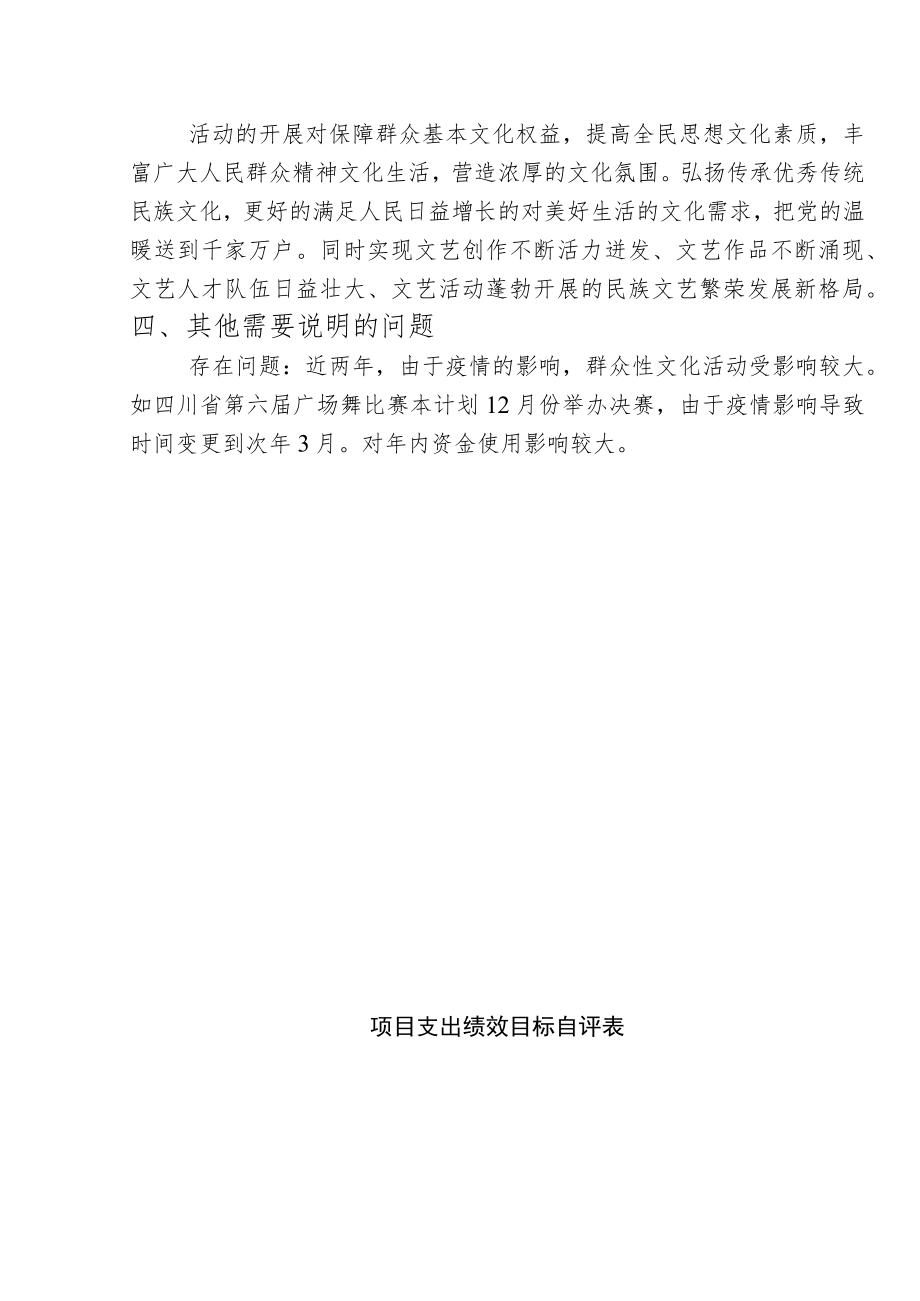 重大文化活动赛事资金绩效自评报告.docx_第3页