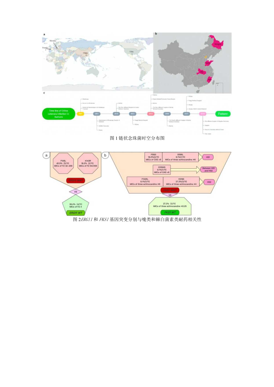 链状念珠菌ERG11和FKS1基因错义突变点导致唑类和棘白菌素类耐药机制研究.docx_第2页