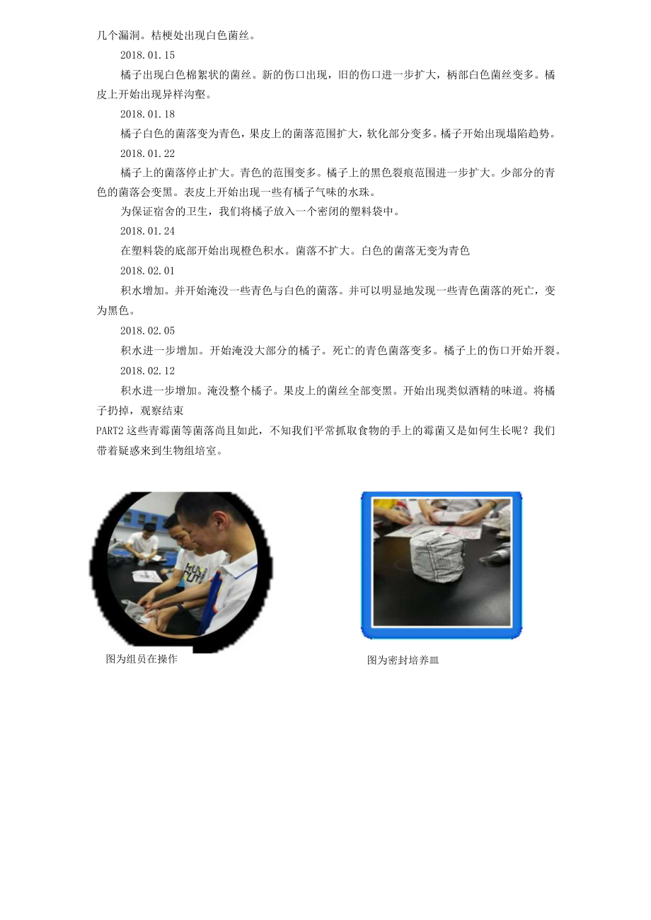 食物中真菌性质的研究.docx_第3页