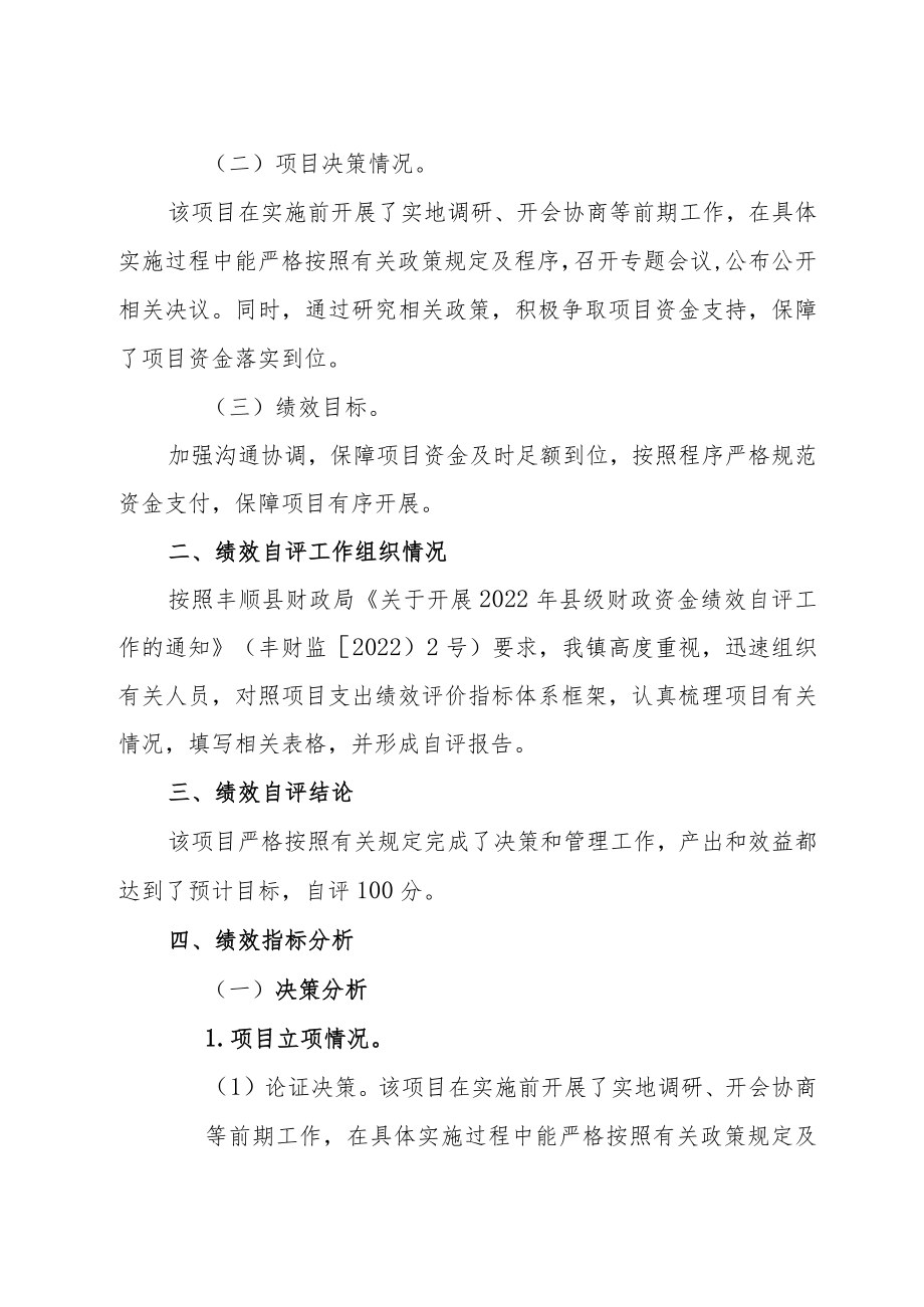 项目绩效自评报告.docx_第2页