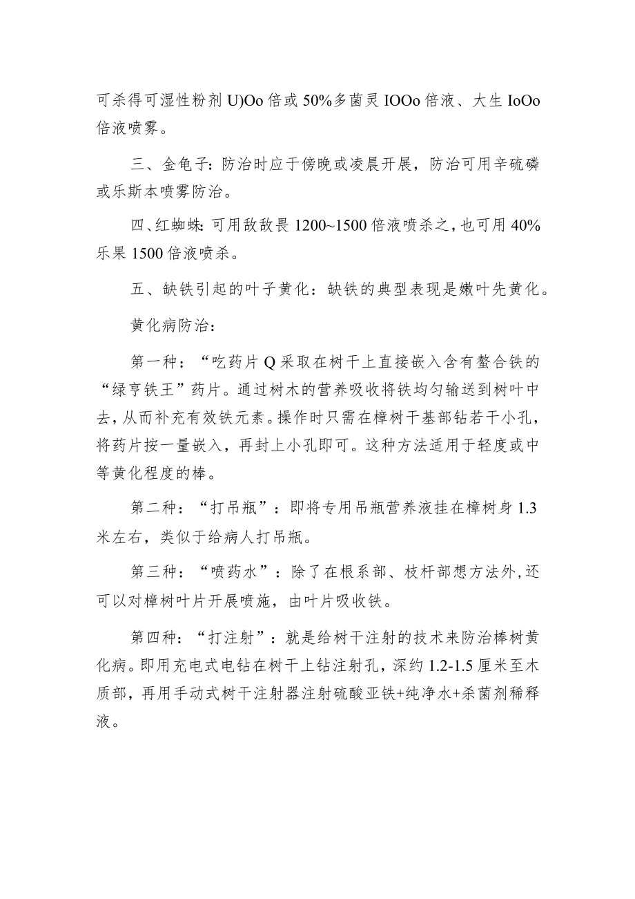 榉树病虫害预防治理方法.docx_第2页