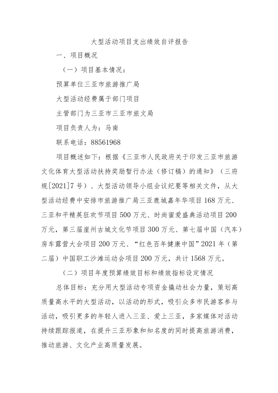 大型活动项目支出绩效自评报告.docx_第1页