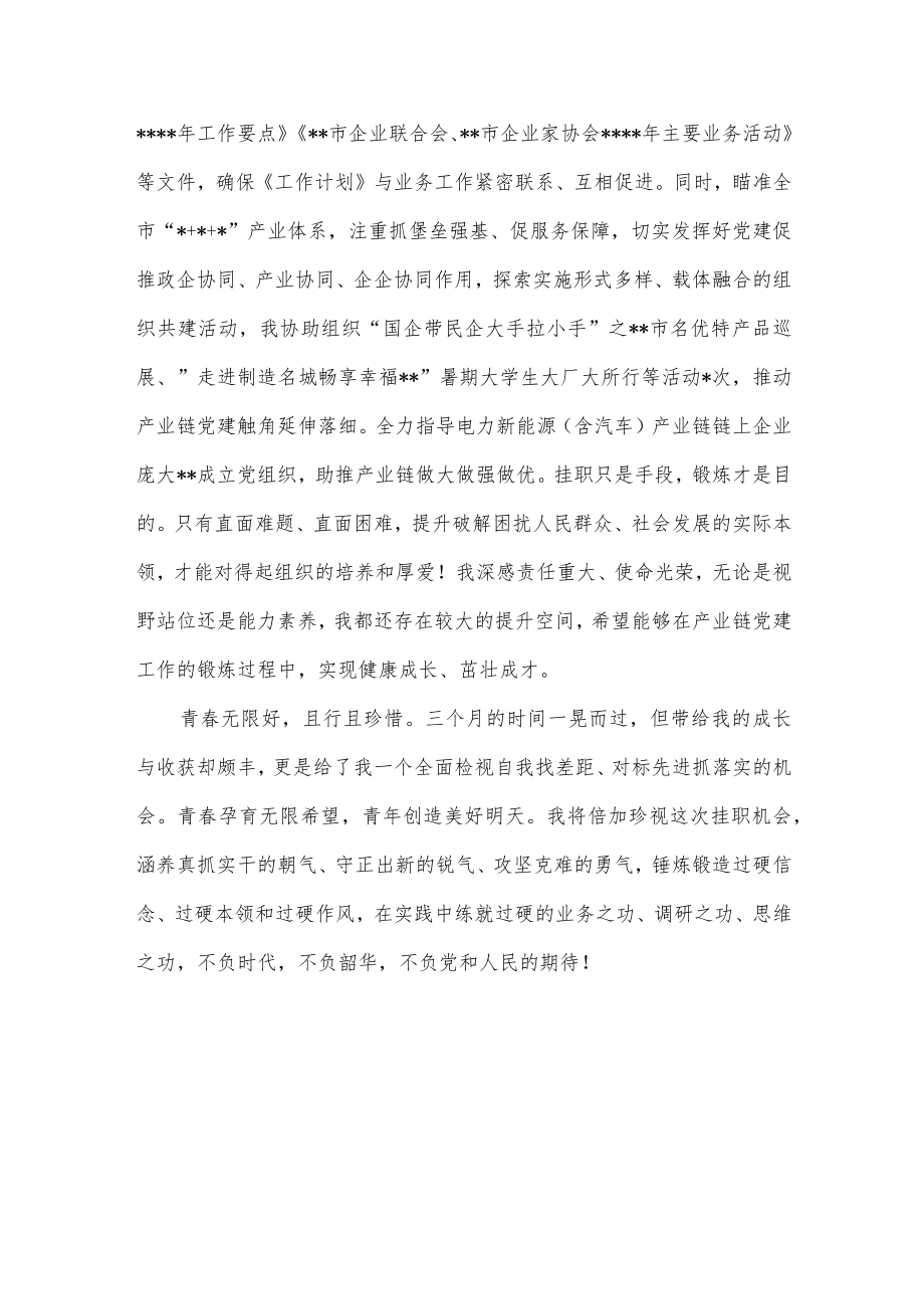 市工信局挂职干部座谈会经验交流发言材料.docx_第3页