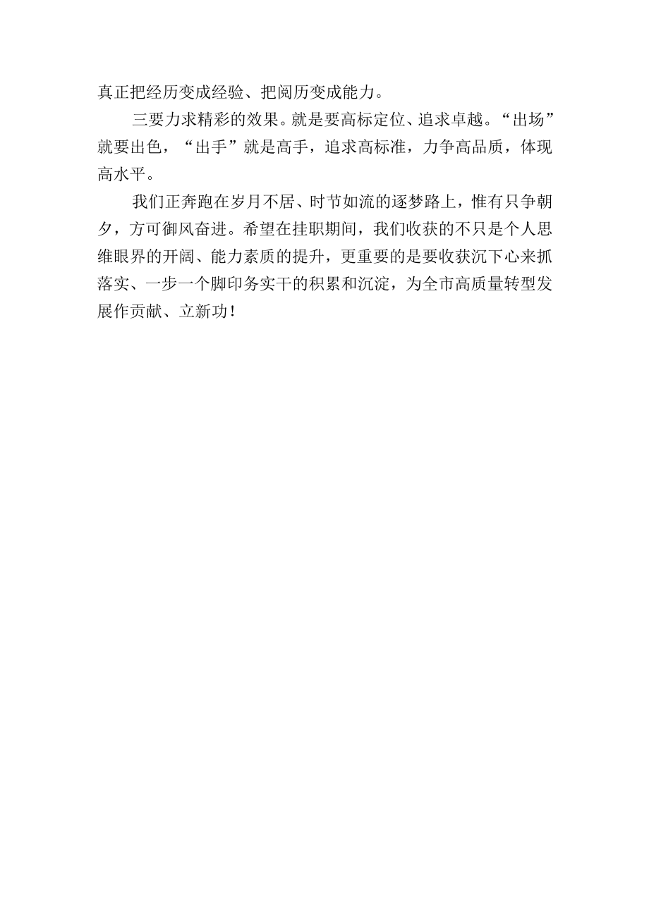 到高新区挂职干部座谈会经验交流发言材料.docx_第3页