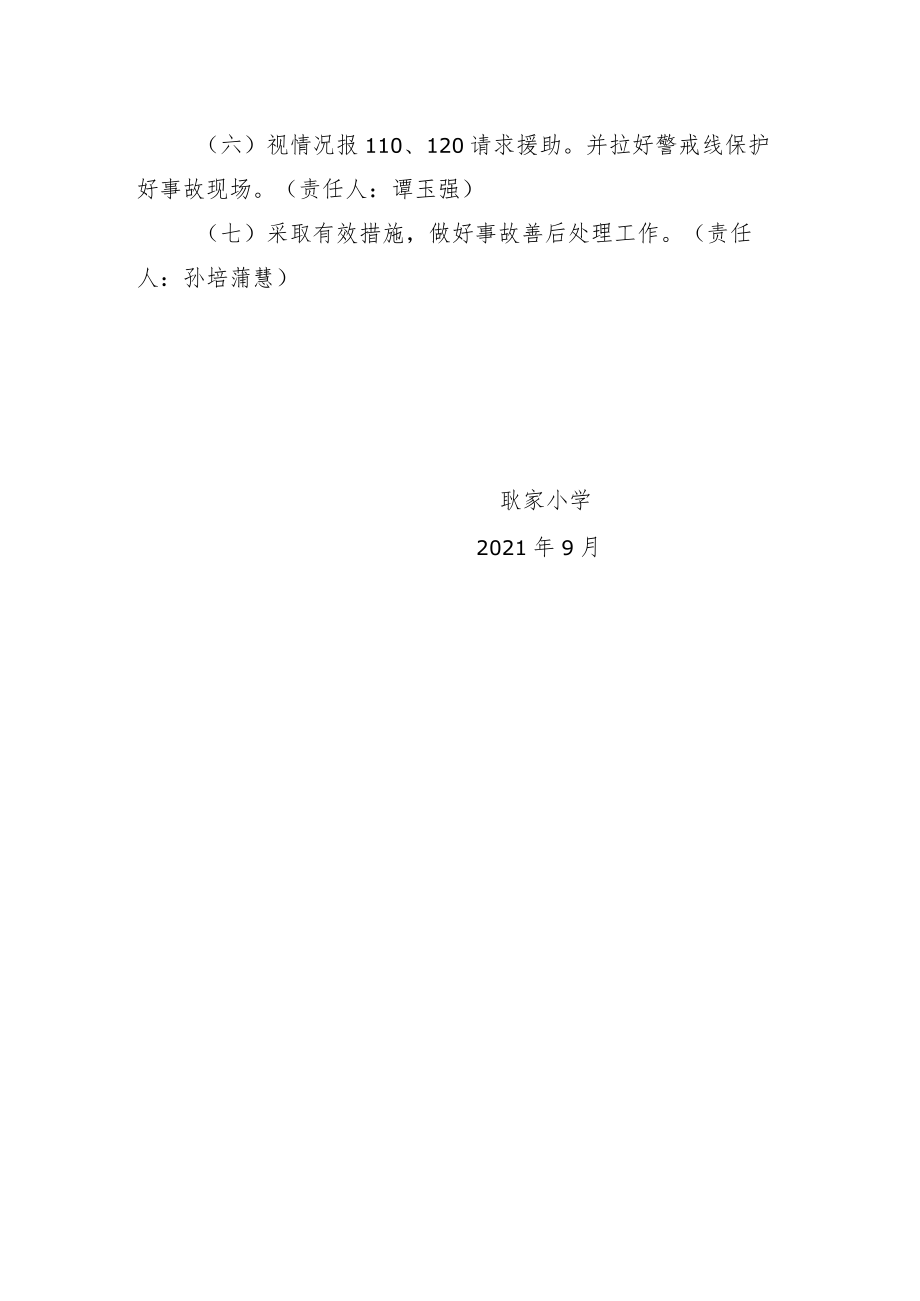 大型活动安全事故应急预案.docx_第3页