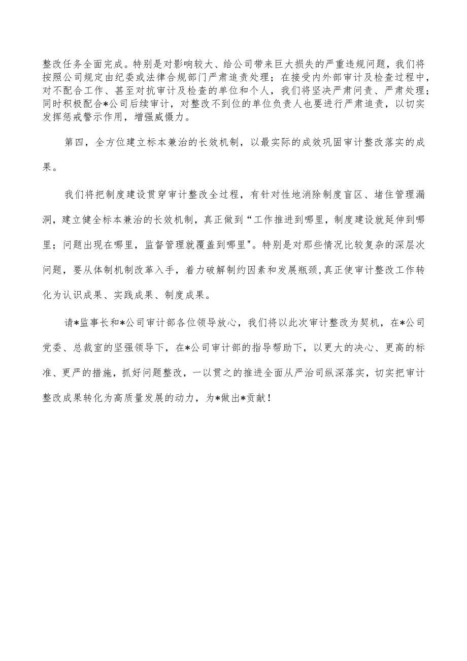 公司审计会表态发言.docx_第3页