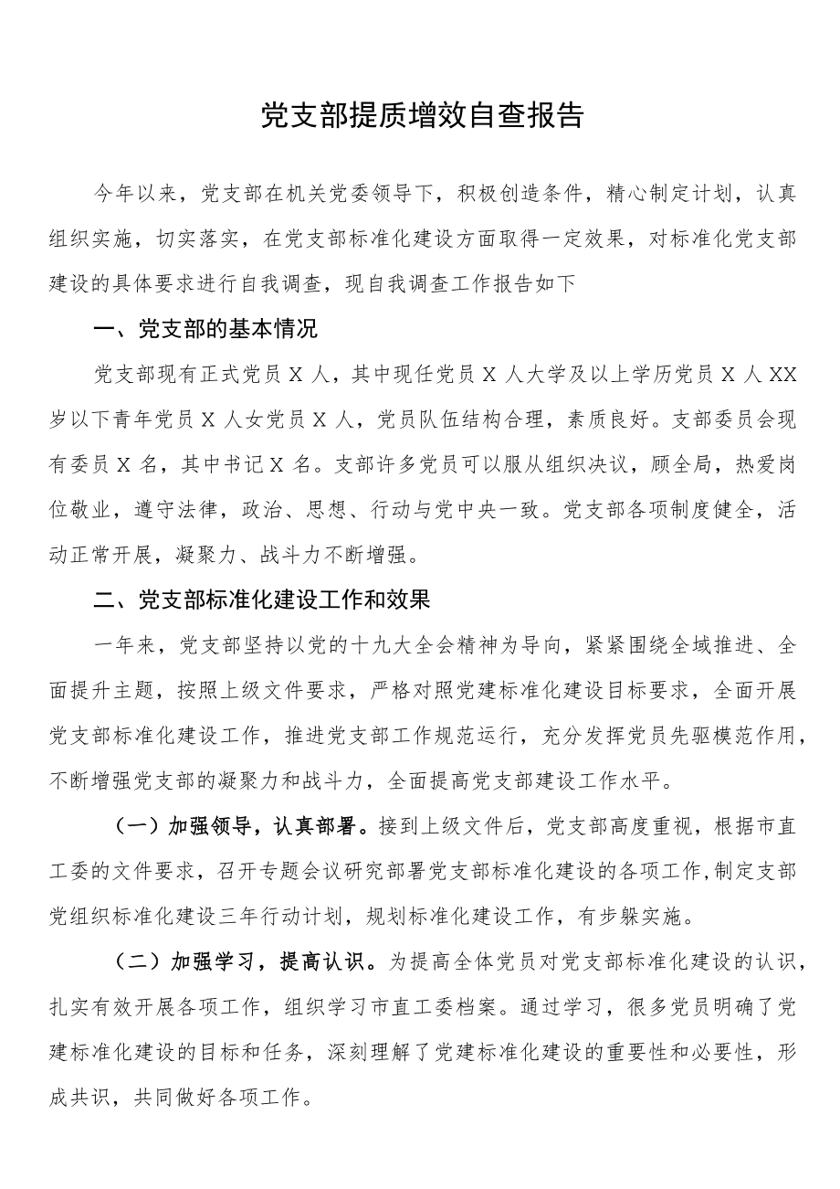 支部提质增效自查报告.docx_第1页