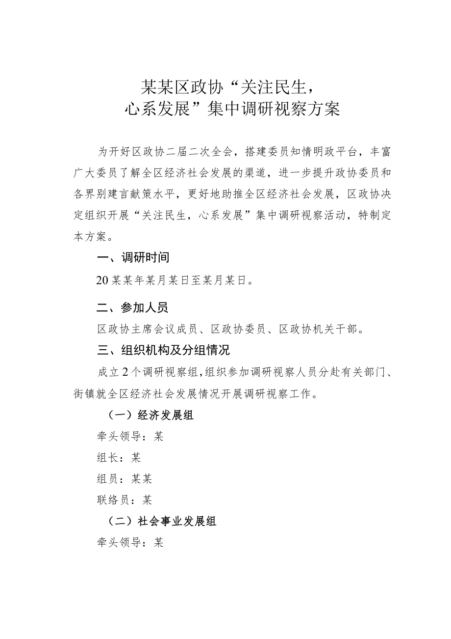 某某区政协“关注民生心系发展”集中调研视察方案.docx_第1页