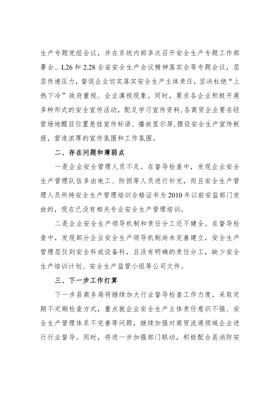 关于商贸流通领域安全生产隐患大排查大整治工作情况汇报.docx_第3页