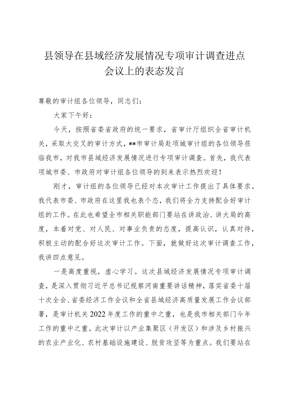 县领导在县域经济发展情况专项审计调查进点会议上的表态发言.docx_第1页