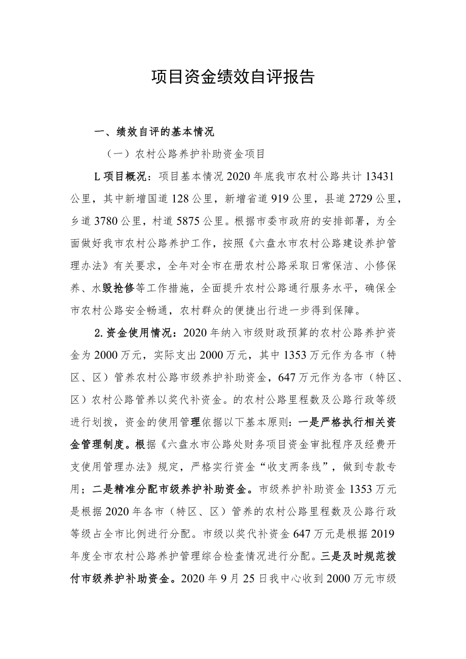 项目资金绩效自评报告.docx_第1页