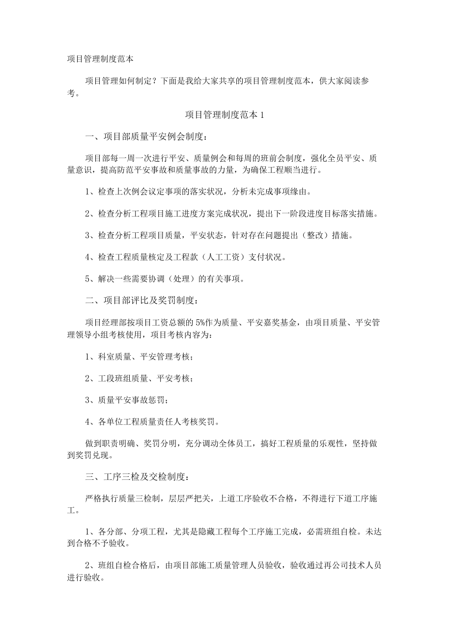 项目管理制度.docx_第1页