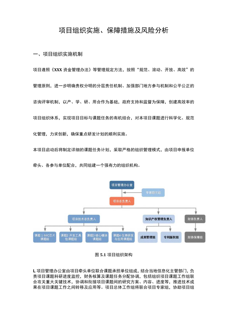 项目组织实施、保障措施及风险分析.docx_第1页