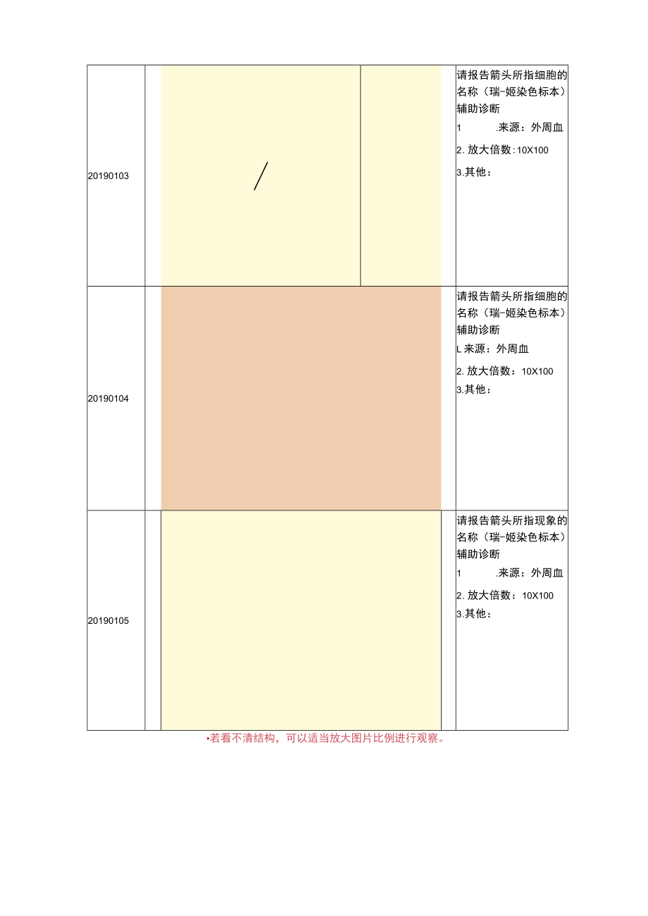 血细胞形态学名称编码.docx_第2页