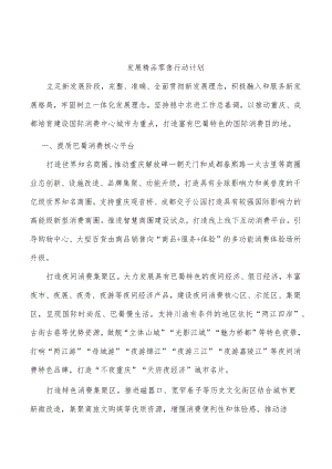 发展精品零售行动计划.docx